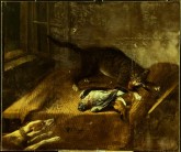 Собака и кошка у стола с битой птицей