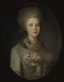 Портрет В. Н. Суровцевой