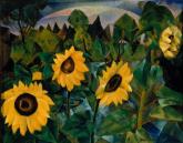 Подсолнухи