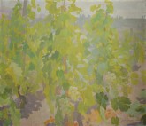 Виноград. Крым