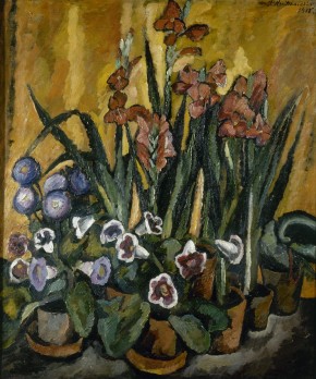 Гладиолусы и глоксинии