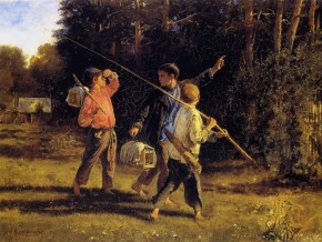 Птичьи враги