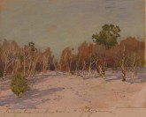 Сад в снегу