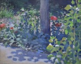 Маки в саду