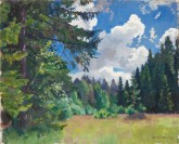 Лесная поляна. Облако