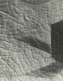 Ветряные мельницы в украинской степи при закате