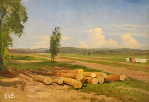 Бревна. Деревня Константиновка близ Красного села