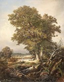 На берегах Березины