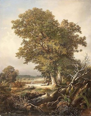 На берегах Березины