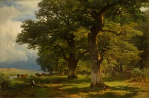 Полдень в лесу