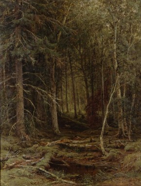 Лесная глушь