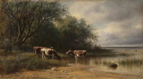 Коровы под деревьями