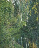 Лесная река