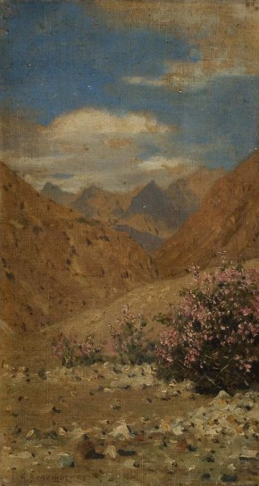 Розы в Ладаке