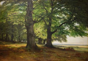 Тевтобургский Лес