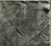 Летящий демон