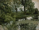 Заросший пруд