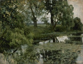 Заросший пруд