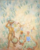 Сбор винограда