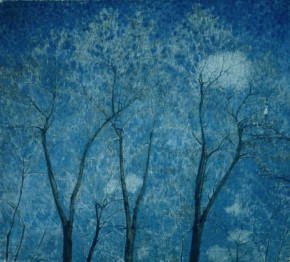 Акации весной