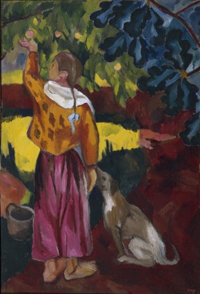 Сбор плодов