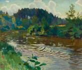 Быстрая речка