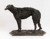 Густопсовая борзая Славный